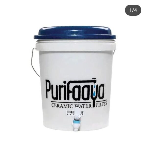 Regular Purifaaya